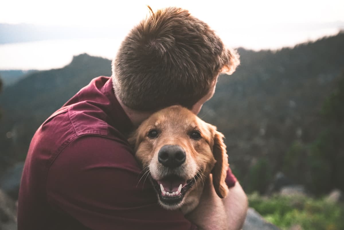 Dueño abrazando a su perro feliz al aire libre